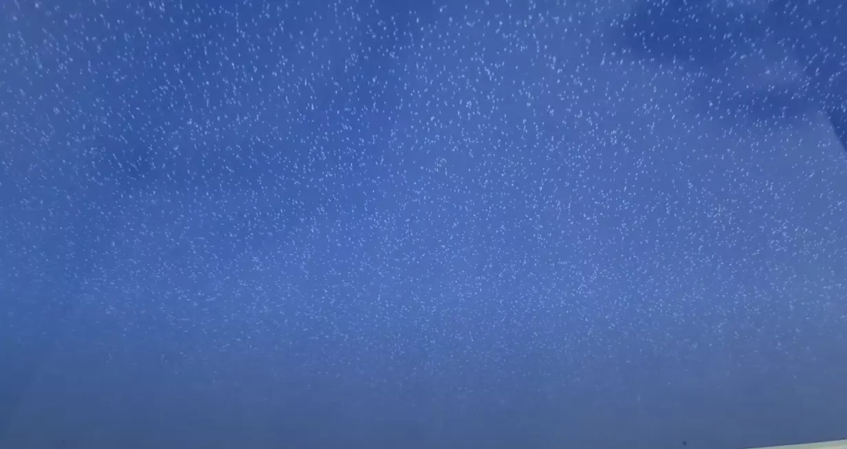 Рязань, Советской Армии, 14/9, фото 3