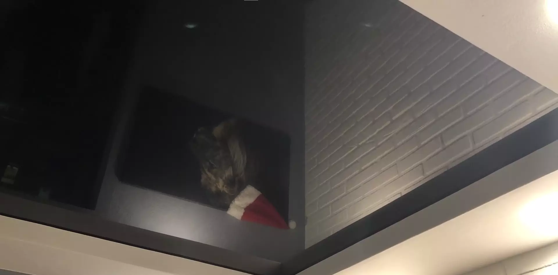 Новокуйбышевск, , фото 3