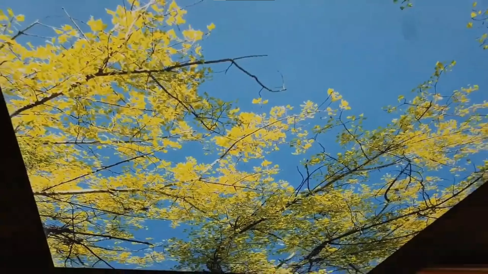 Новокуйбышевск, , фото 2